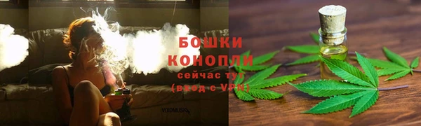 хмурый Арсеньев