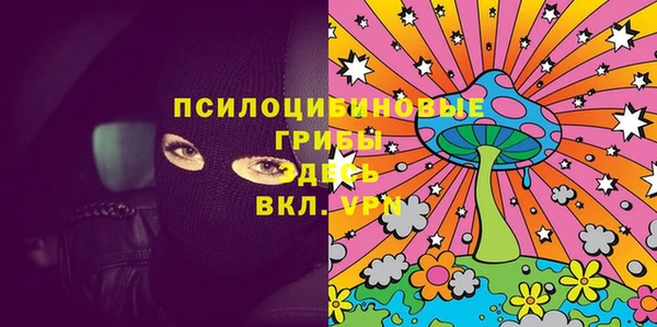 хмурый Арсеньев