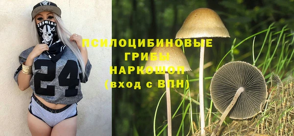 прущий лед Алзамай