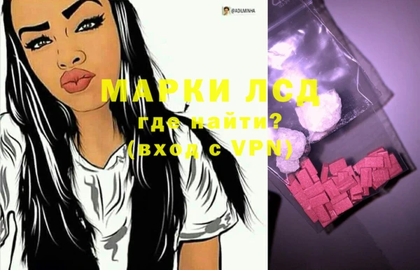 хмурый Арсеньев