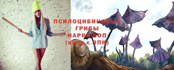 хмурый Арсеньев