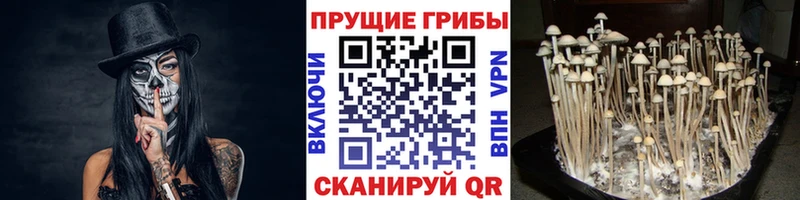 Галлюциногенные грибы GOLDEN TEACHER  Асбест 