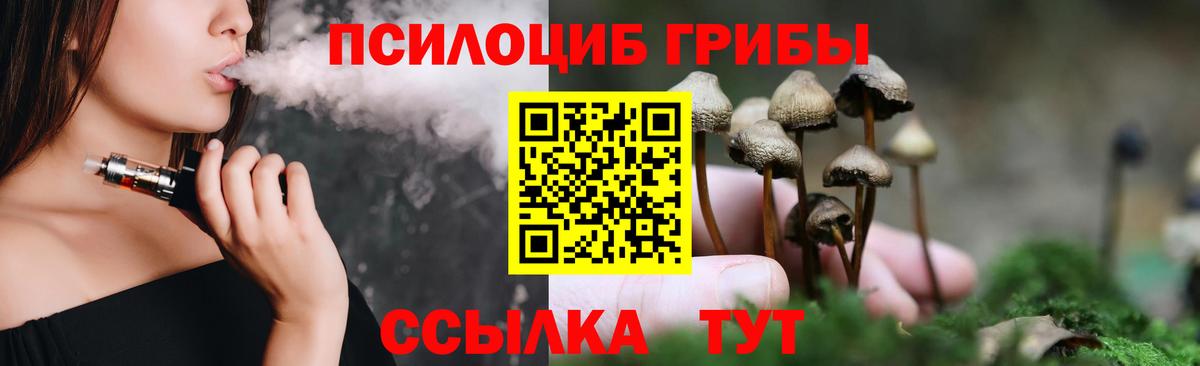 Асбест  Псилоцибиновые грибы MAGIC MUSHROOMS  Псилоцибиновые грибы Magic Shrooms  Вход с VPN 